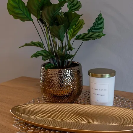 Muszelkowe Polanki Apartment *